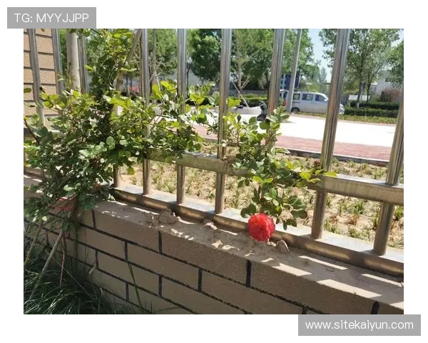 开云真人如何塑造现代人休闲娱乐的新方式