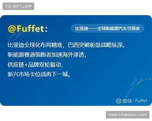 云开集团:在全球市场中稳步扩展的战略布局与发展机遇 云开集团:在全球市场中稳步扩展的战略布局与发展机遇