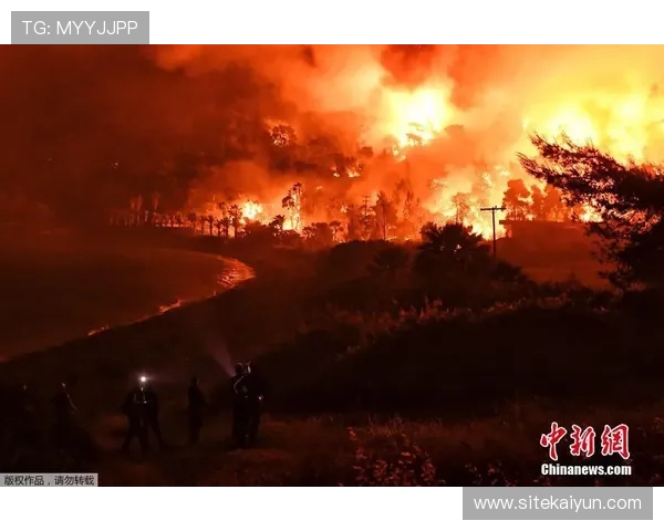 开云手机官方入口：官方入口提供一站式服务满足您的多样化需求