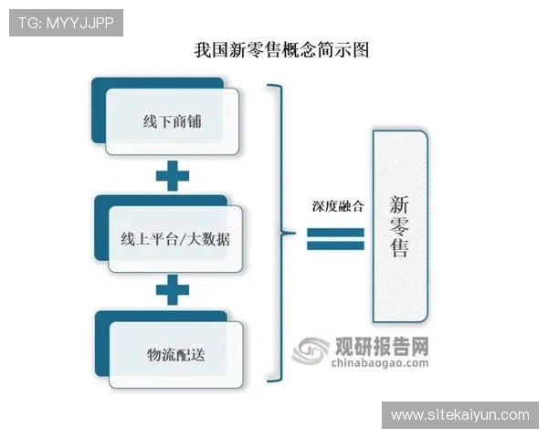 探讨开云中国关网背景下的电商市场新机遇
