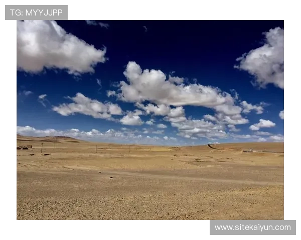 掌握开云官网购物流程详细步骤指导让你轻松完成订单与支付